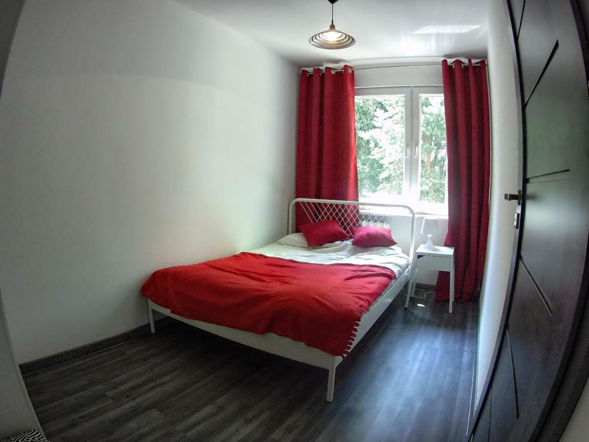 Antek * Krakau